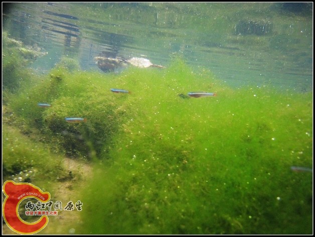 照片 010.jpg