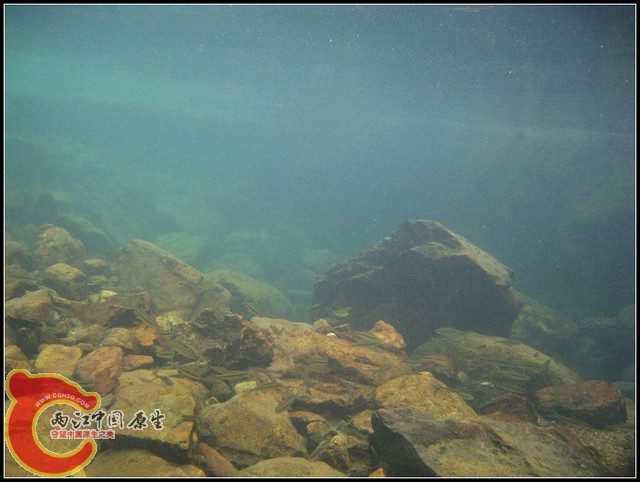 照片 051.jpg