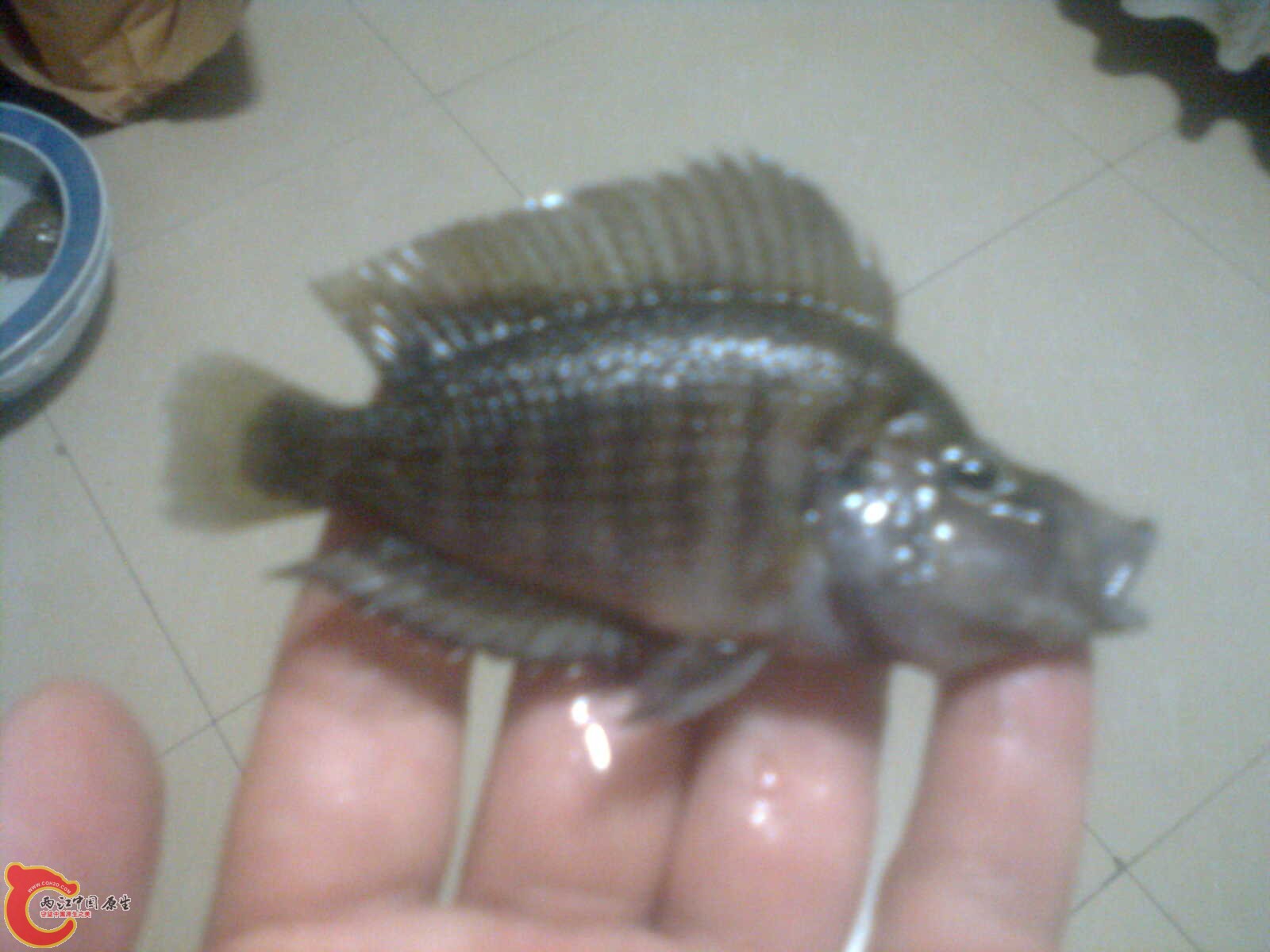 照片 032.jpg