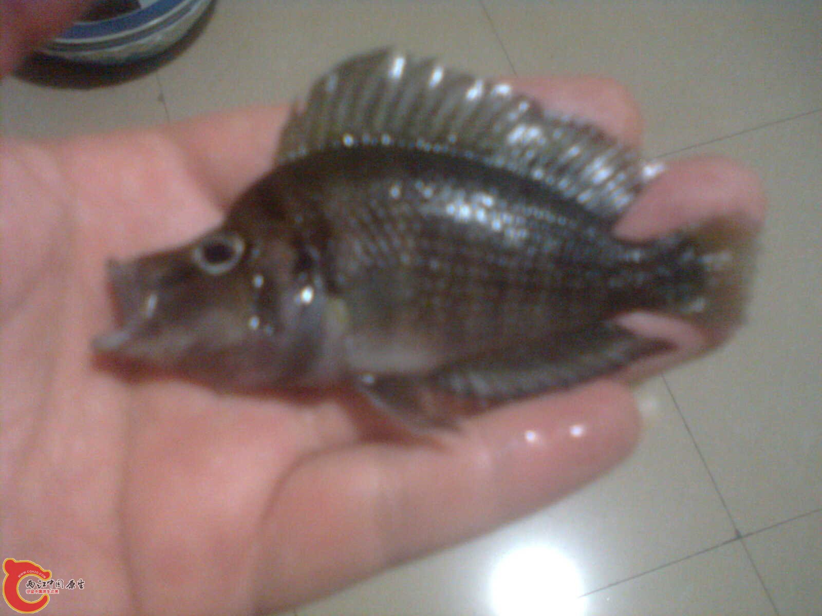 照片 040.jpg