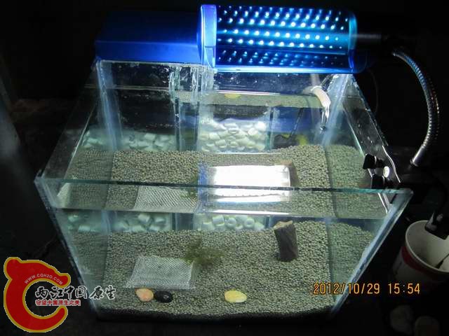 调整大小 开缸啦 003.jpg