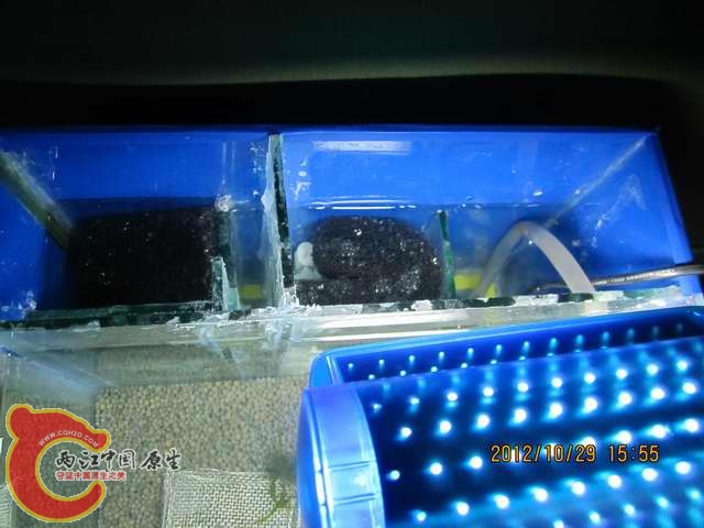 调整大小 开缸啦 008.jpg