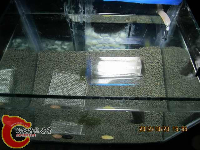 调整大小 开缸啦 010.jpg