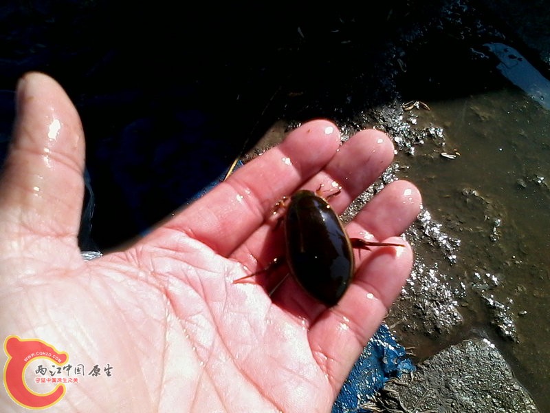 IMG_20121030_110003.jpg