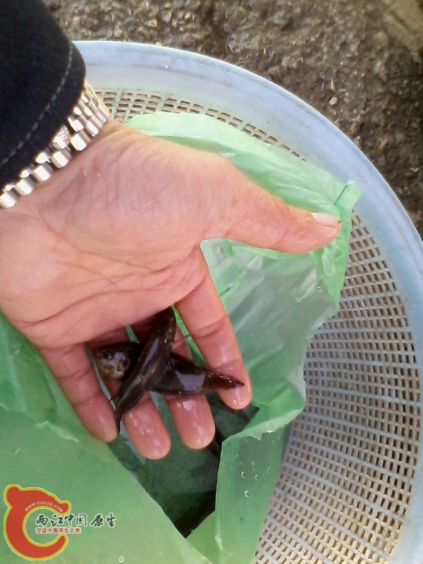 IMG_20121030_110202.jpg