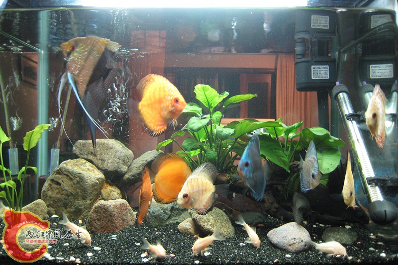 小小改造后的新景