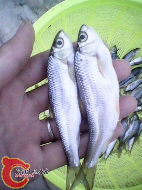 img1023_181243538.jpg