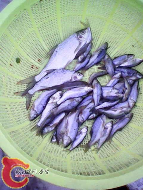 img1023_180912643.jpg