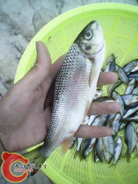 img1023_180925287.jpg