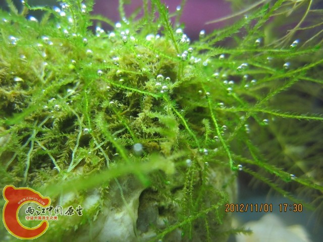 调整大小 c 017.jpg