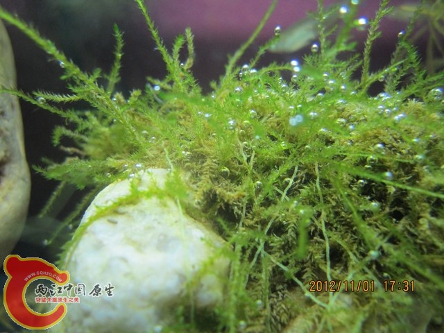 调整大小 c 018.jpg