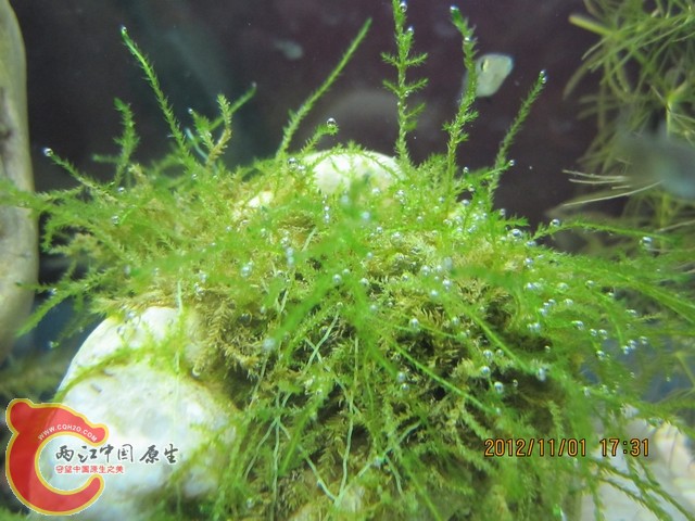 调整大小 c 019.jpg