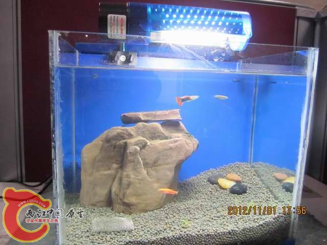 调整大小 d 001.jpg