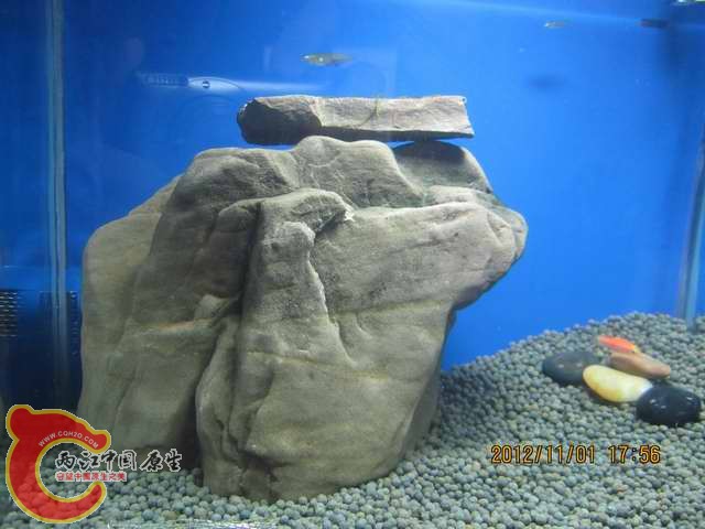 调整大小 d 002.jpg