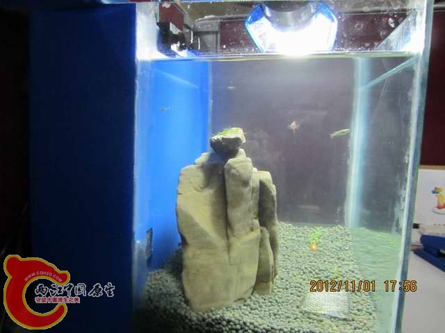 调整大小 d 003.jpg