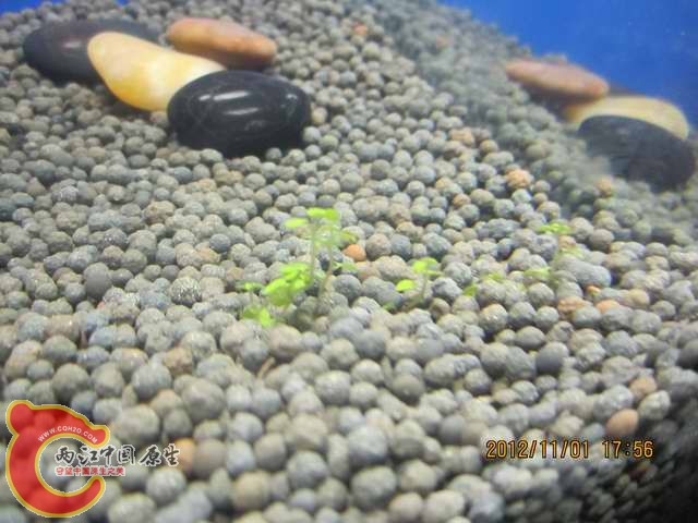 调整大小 d 004.jpg