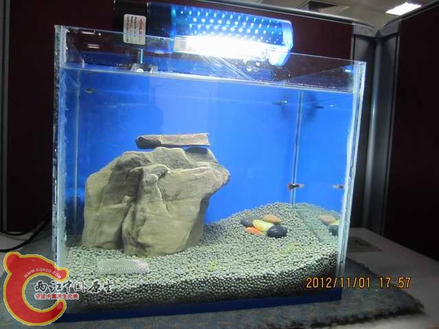 调整大小 d 008.jpg