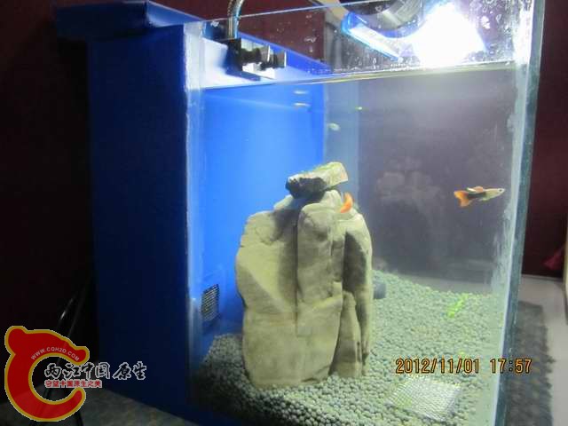 调整大小 d 009.jpg