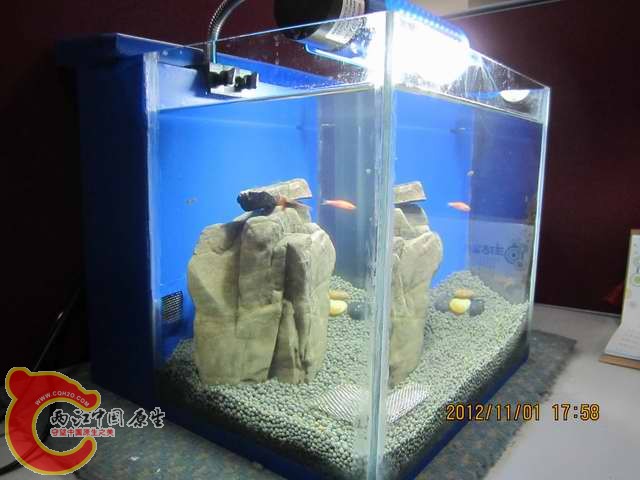 调整大小 d 010.jpg