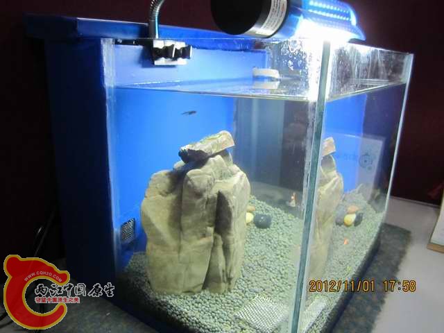 调整大小 d 011.jpg