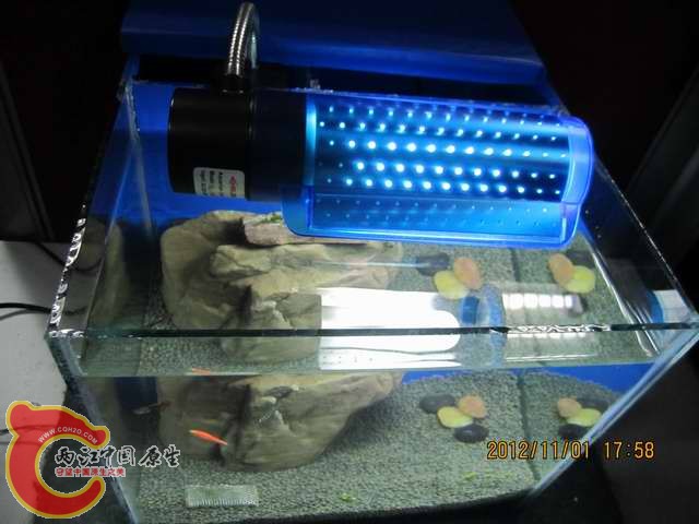 调整大小 d 012.jpg