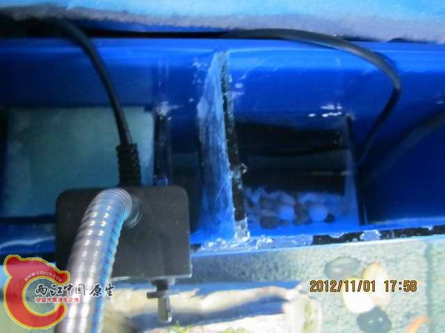 调整大小 d 014.jpg