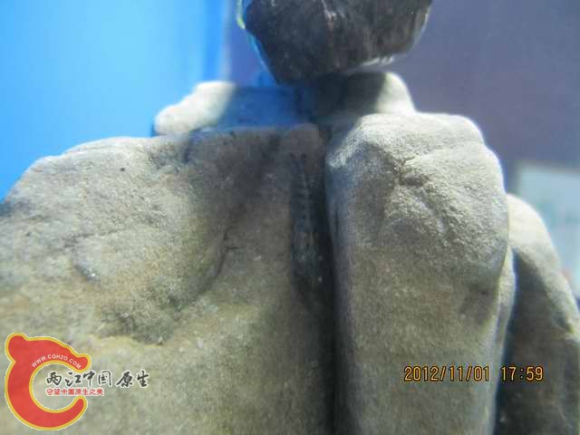 调整大小 d 016.jpg