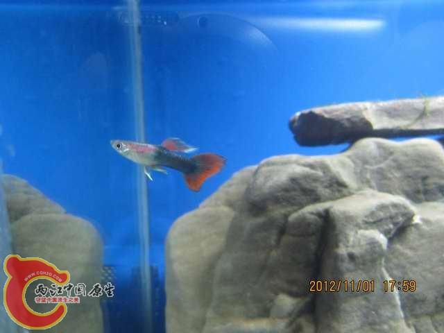 调整大小 d 015.jpg