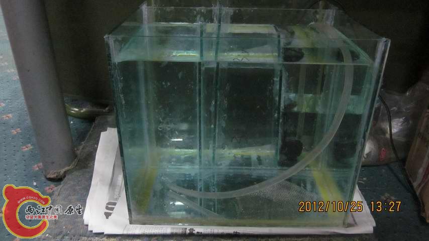 调整大小 IMG_1393.jpg