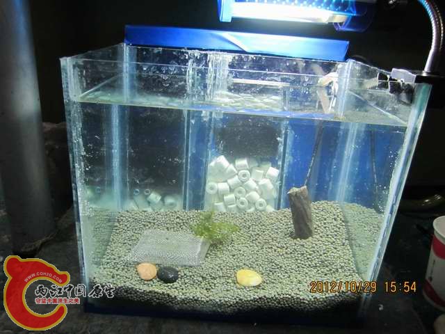 调整大小 开缸啦 004.jpg