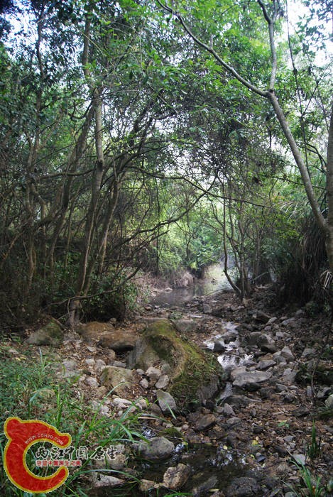 古墓 (10).JPG