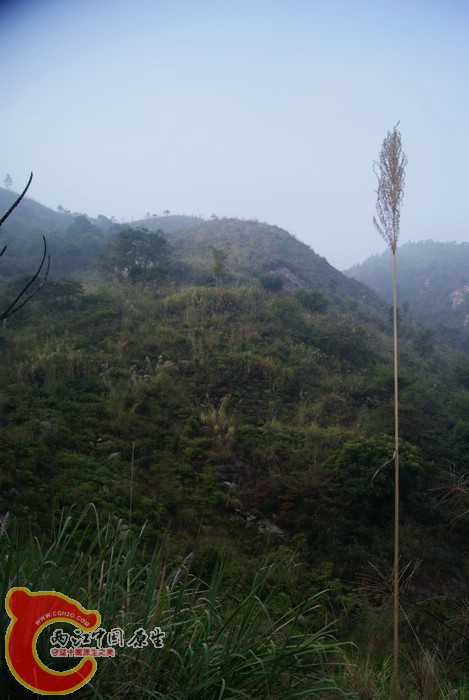 古墓 (13).JPG
