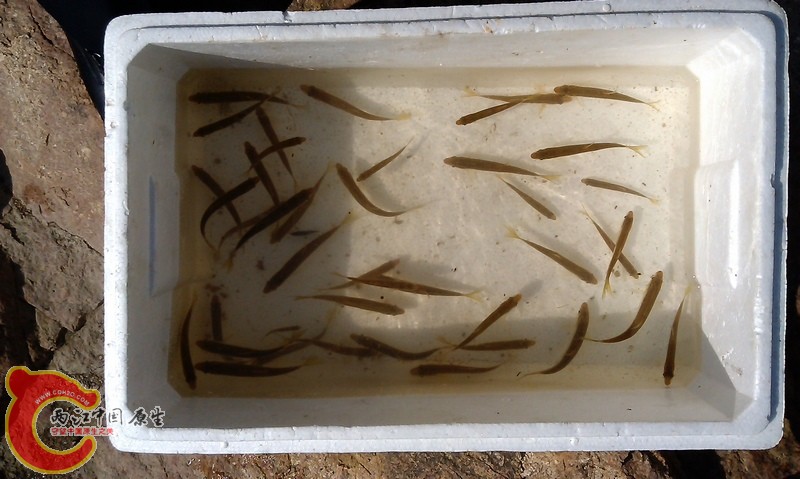 zuihou.jpg zuihou.jpg