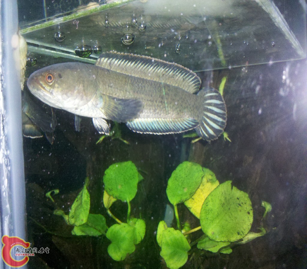 2012-11-01_23-16-26_428.jpg
