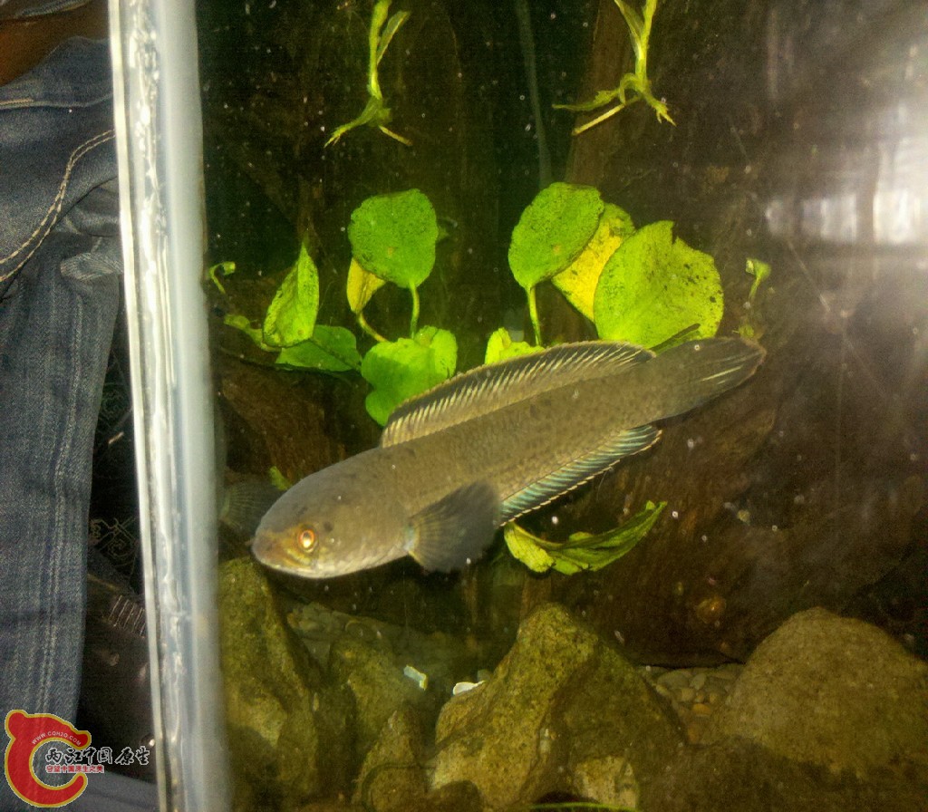 2012-11-01_23-14-45_413.jpg