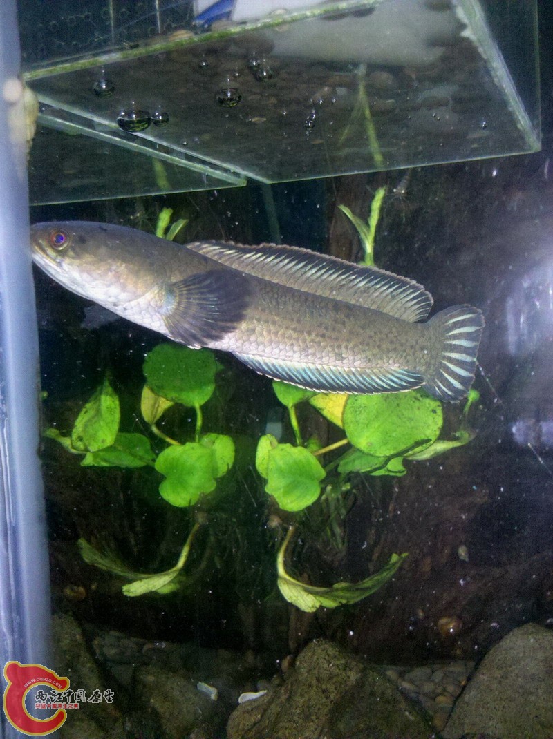 2012-11-01_23-14-23_617.jpg