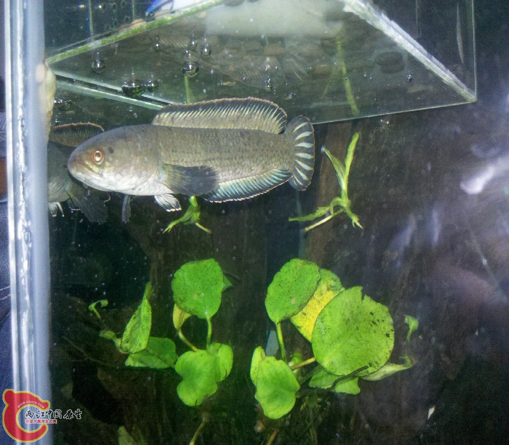 2012-11-01_23-15-46_78.jpg