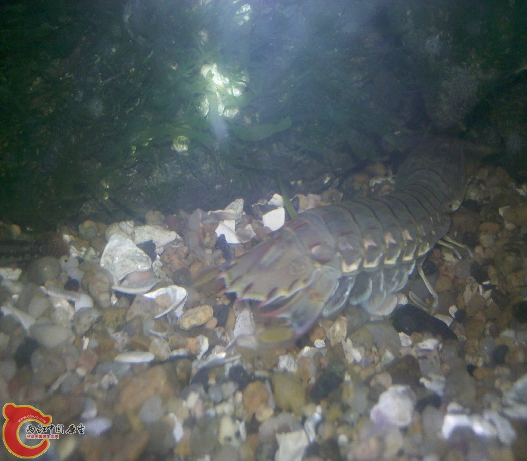 2012-11-03_22-14-18_155.jpg