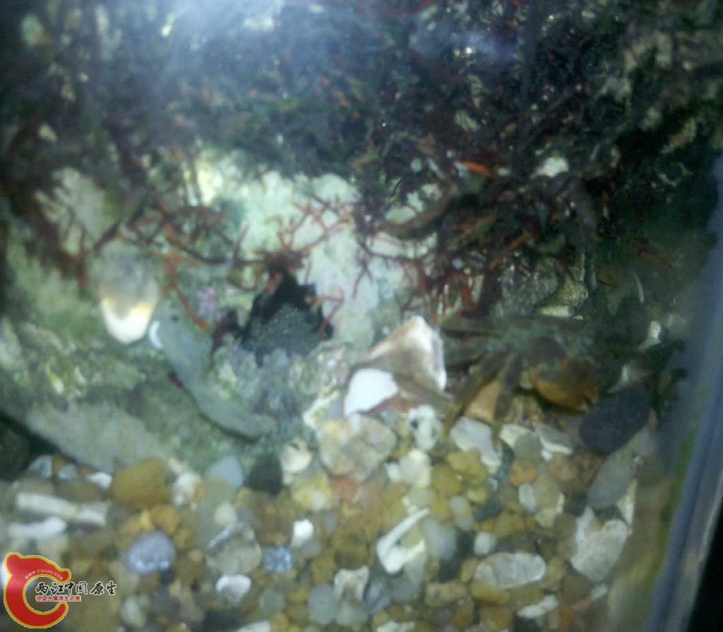 2012-11-03_22-16-53_263.jpg