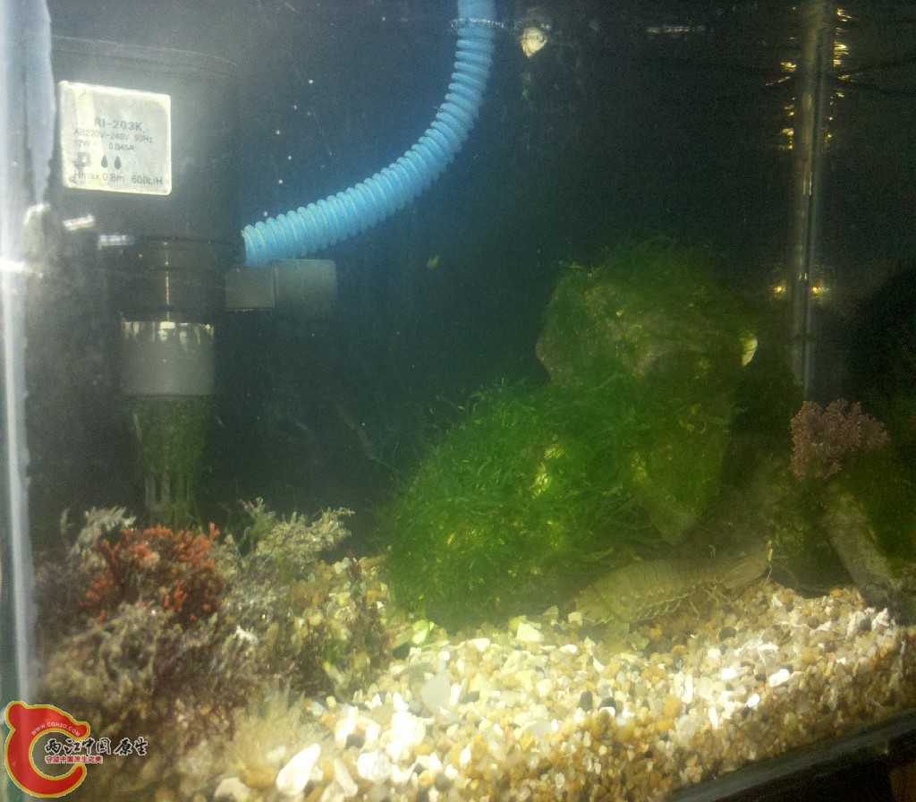 2012-11-03_22-17-15_165.jpg