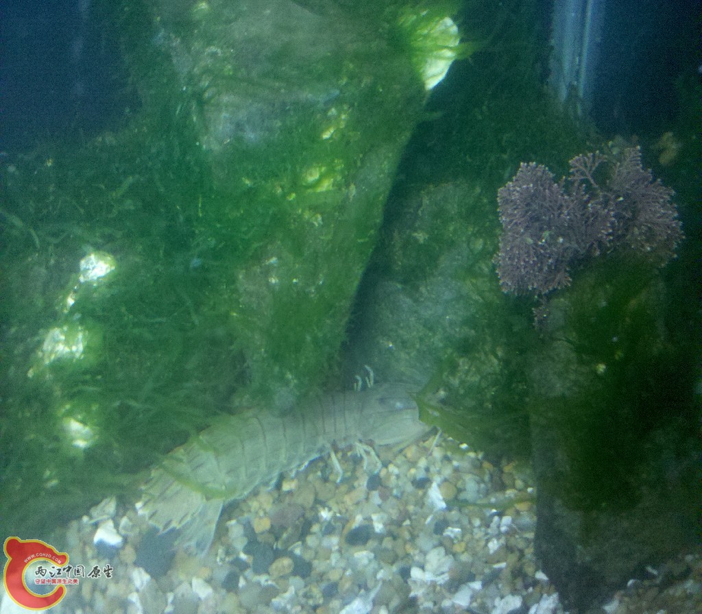 2012-11-03_22-18-32_15.jpg