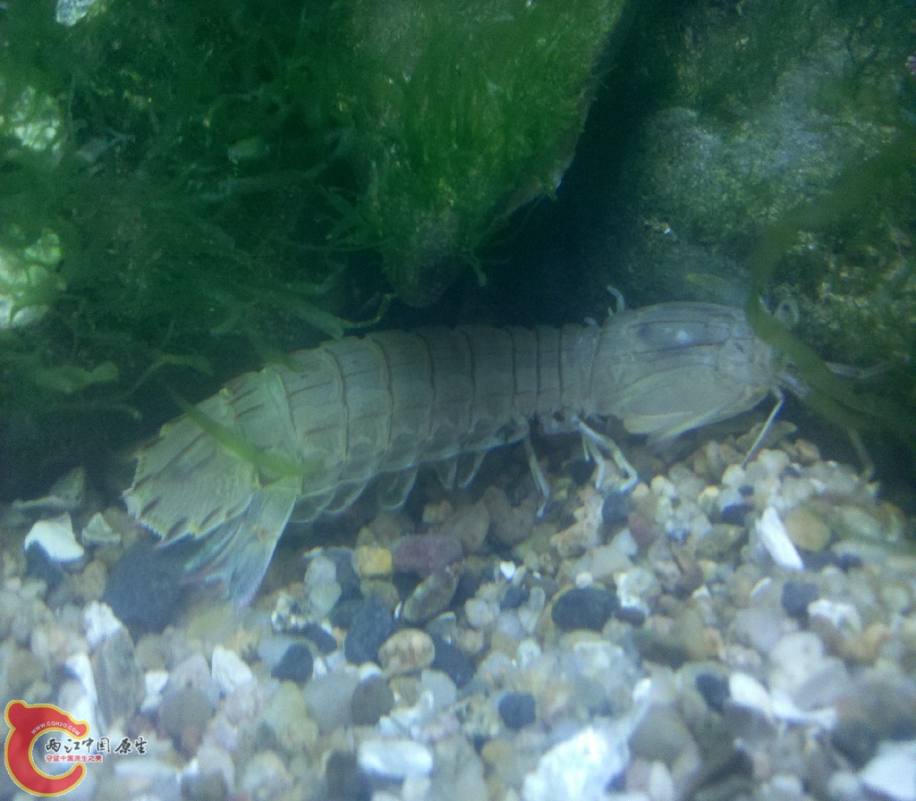 2012-11-03_22-19-26_716.jpg