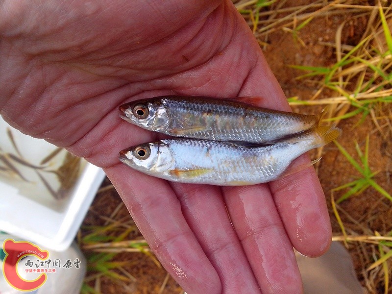 10qian.jpg 10qian.jpg