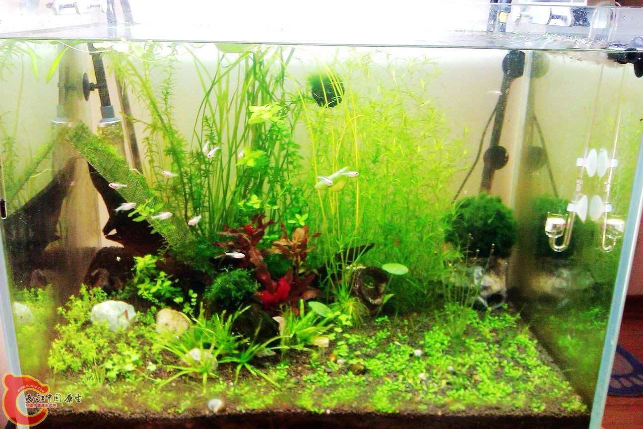 调整大小 IMAG0607.jpg