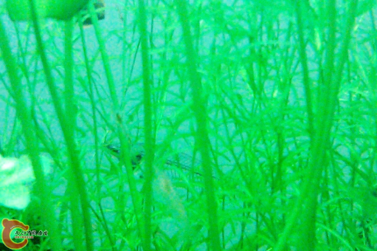 调整大小 IMAG0614.jpg