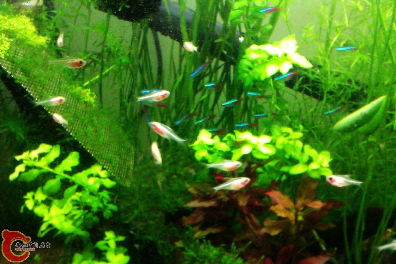 调整大小 IMAG0616.jpg