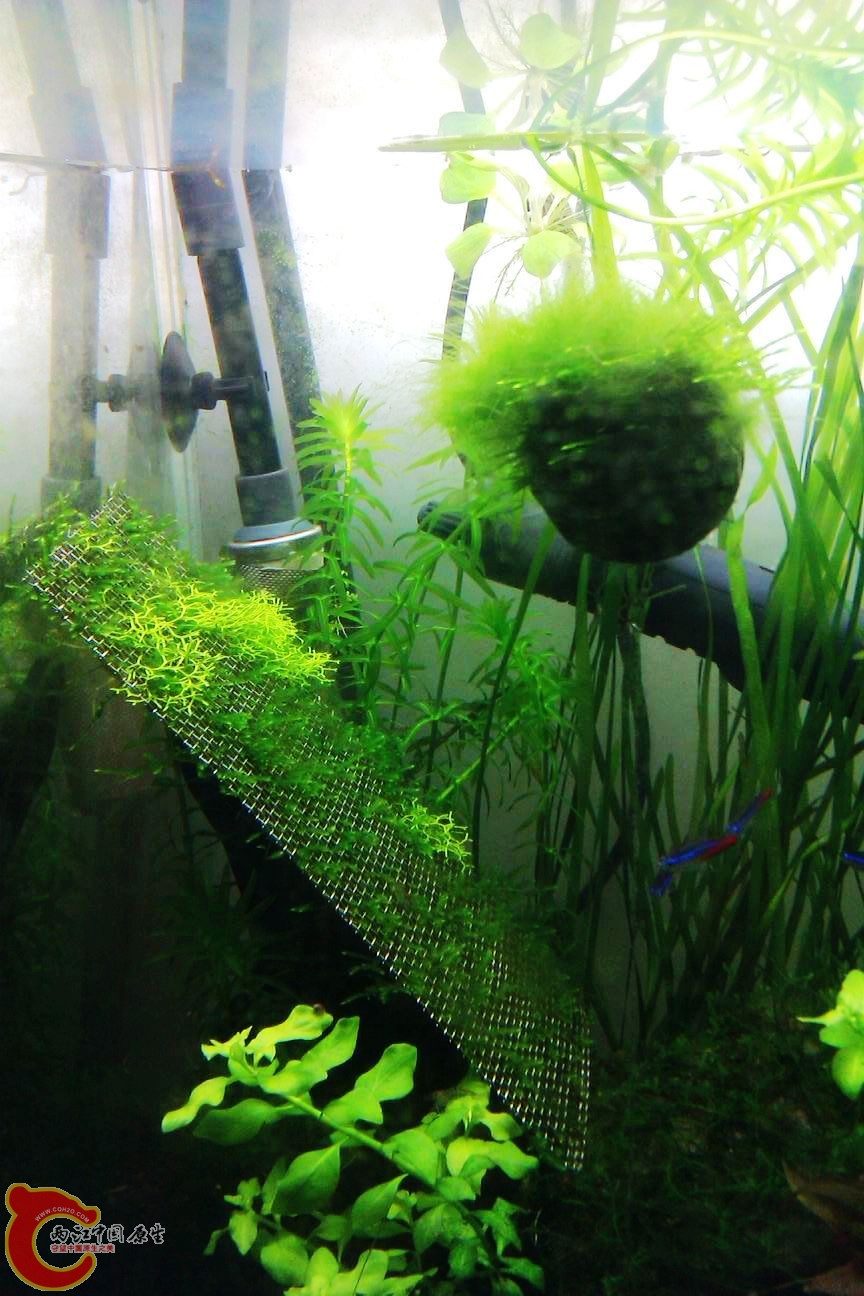 调整大小 IMAG0622.jpg