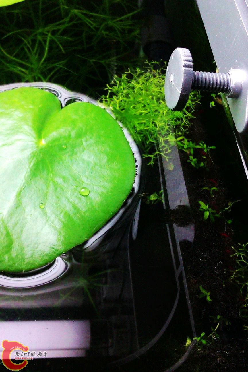 调整大小 IMAG0623.jpg