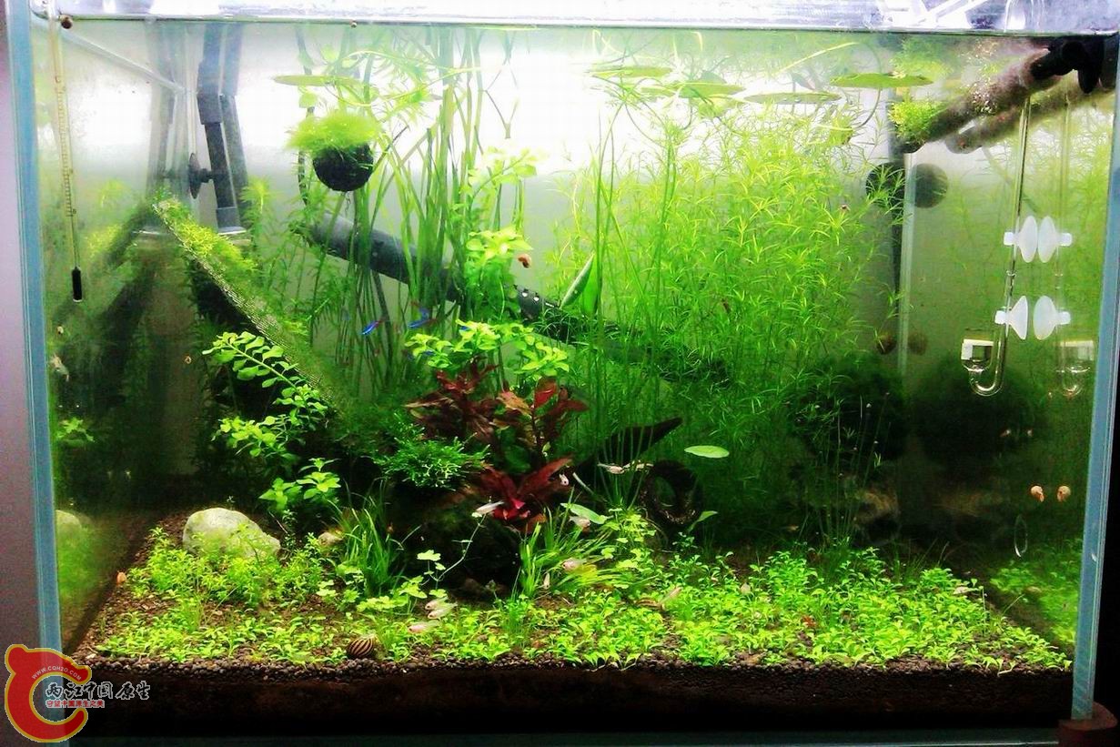 调整大小 调整大小 IMAG0619.jpg