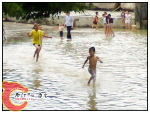 08.jpg